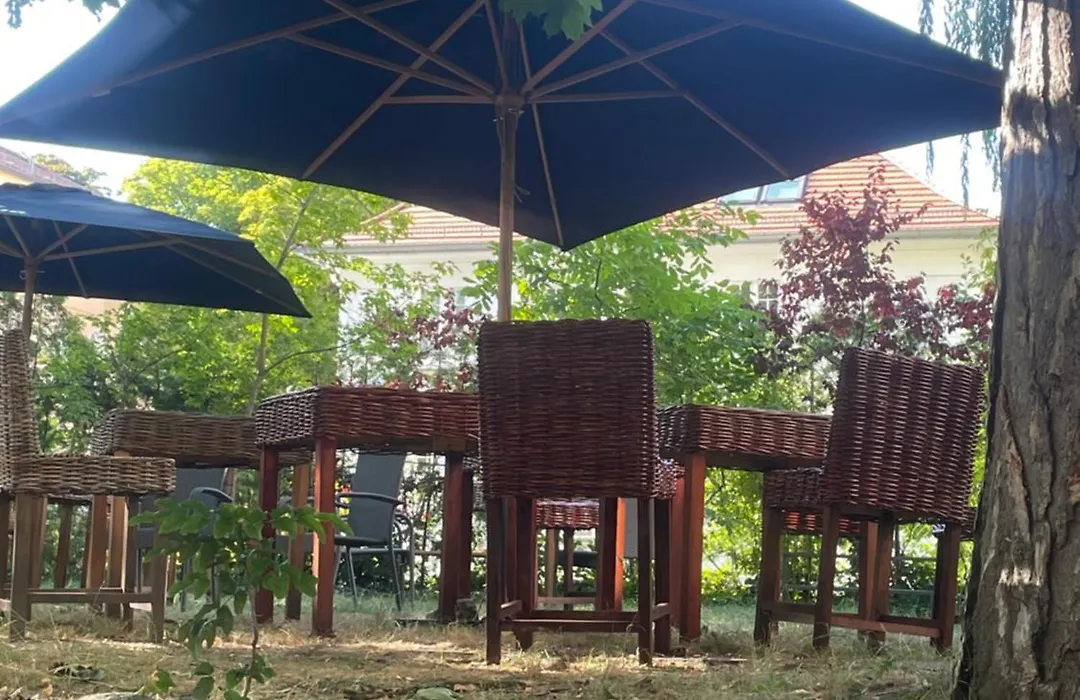 King David Garden-1